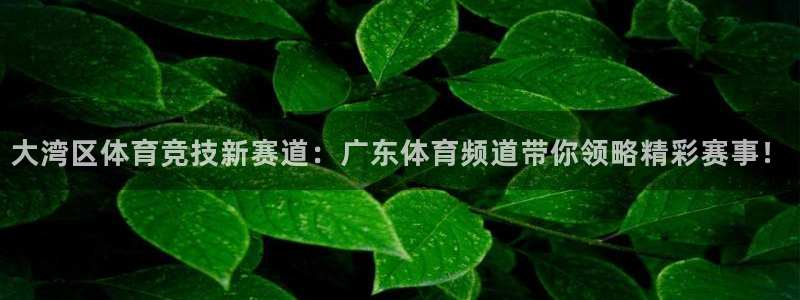 so米nba直播